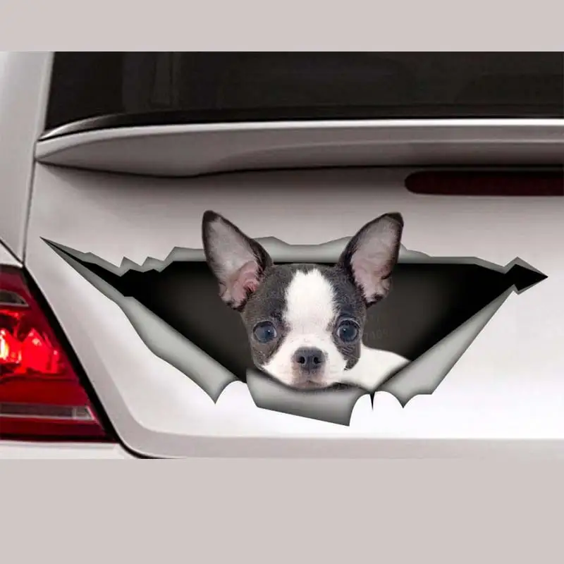 Black and White Chihuahua Pet Dog Car Sticker Waterproof Vinyl Decal on Bumper Rear Window Laptop Decal For Car Accessories
Black and White Chihuahua Pet Dog Car Sticker Waterproof Vinyl Decal on Bumper Rear Window Laptop Decal For Car Accessories