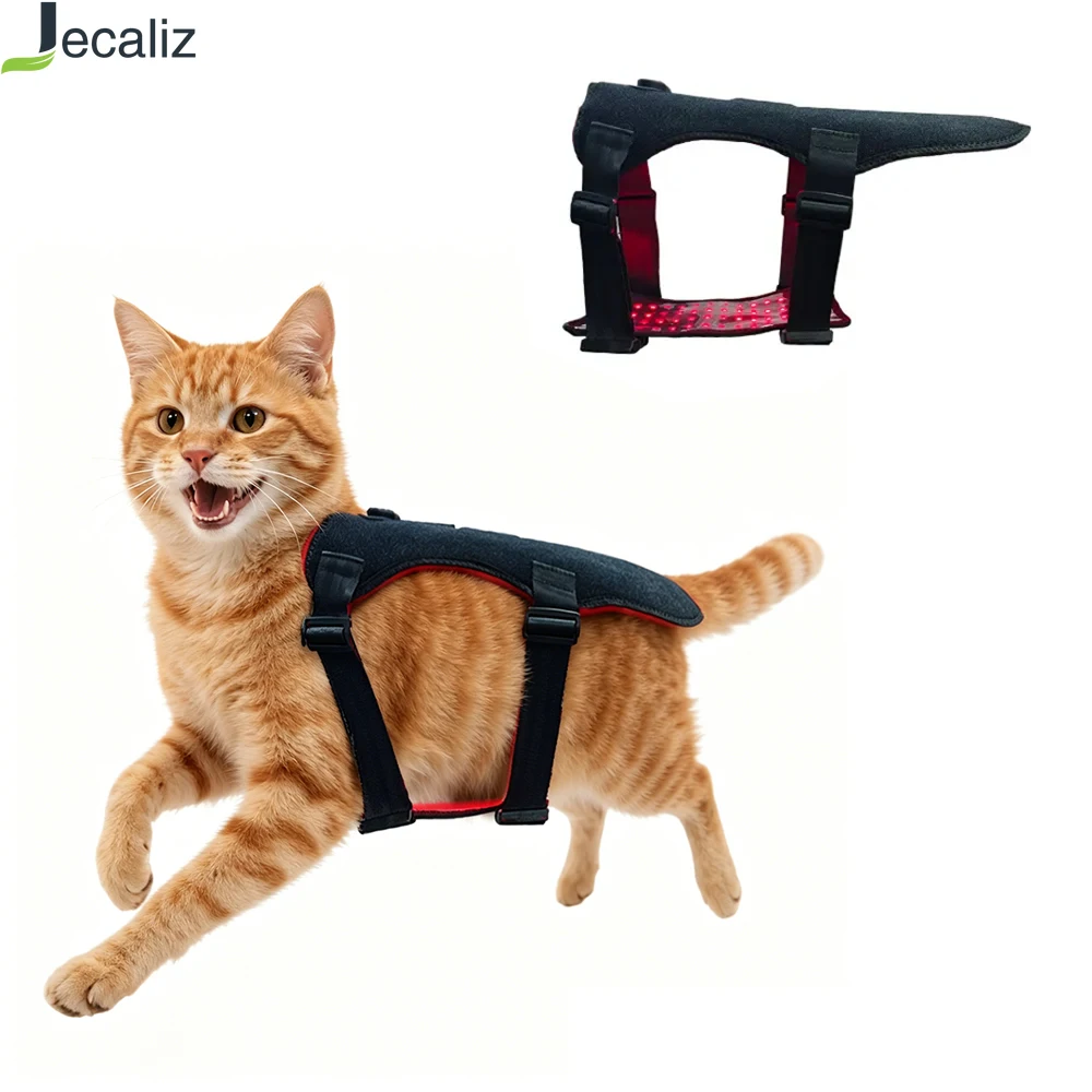 Portable Red Light Therapy Belt,Wearable Infrared Light Therapy Device for Dogs Cats Pets, Joint Back Pain Relief,Tissue Repair
Portable Red Light Therapy Belt,Wearable Infrared Light Therapy Device for Dogs Cats Pets, Joint Back Pain Relief,Tissue Repair