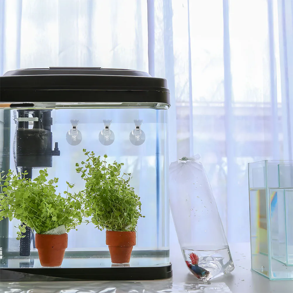 6Pcs Fish Tank Suction Cup Clips Adjustable Angle Safe Reliable Aquarium Food Holder Seaweed Vegetable Clip Turtle Snack Clip
6Pcs Fish Tank Suction Cup Clips Adjustable Angle Safe Reliable Aquarium Food Holder Seaweed Vegetable Clip Turtle Snack Clip