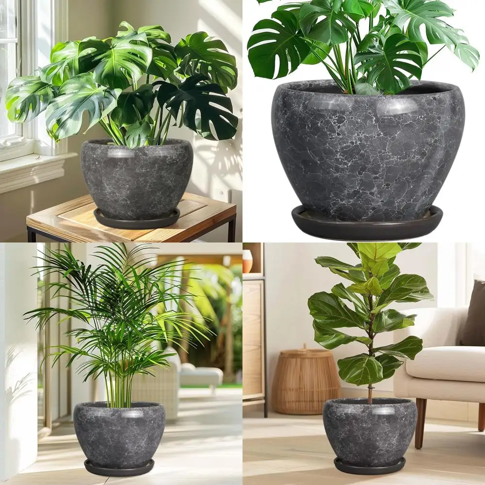 10-дюймовая комнатная керамическая кашпо с дренажем и блюдцем, серая, идеально подходит для больших домашних декоративных растений
10-дюймовая комнатная керамическая кашпо с дренажем и блюдцем, серая, идеально подходит для больших домашних декоративных растений