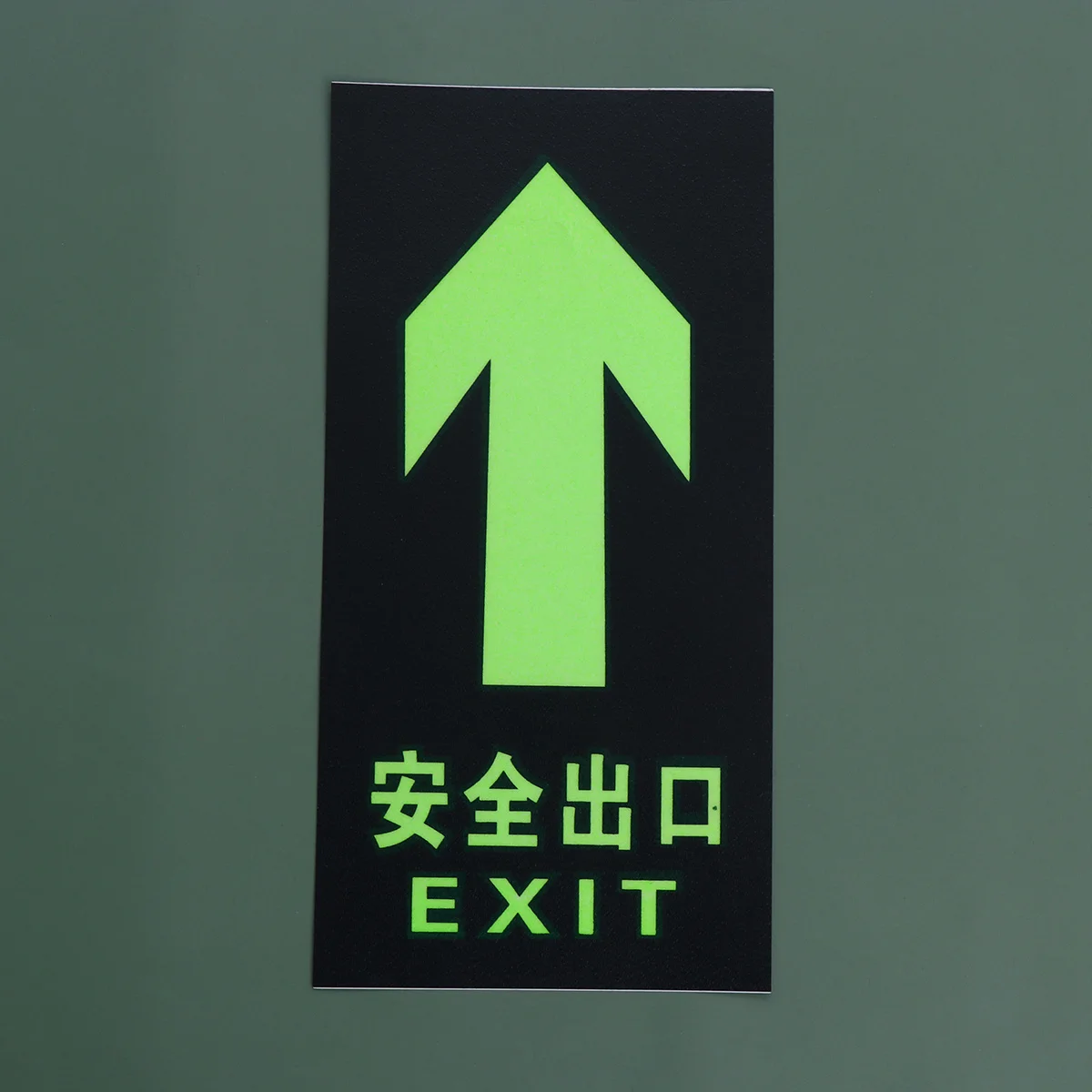 8Pcs Luminous Exit Wall Sticker Safety Exit Sign Glow in The Door Decal for Office School Hotel Supermarket
8Pcs Luminous Exit Wall Sticker Safety Exit Sign Glow in The Door Decal for Office School Hotel Supermarket