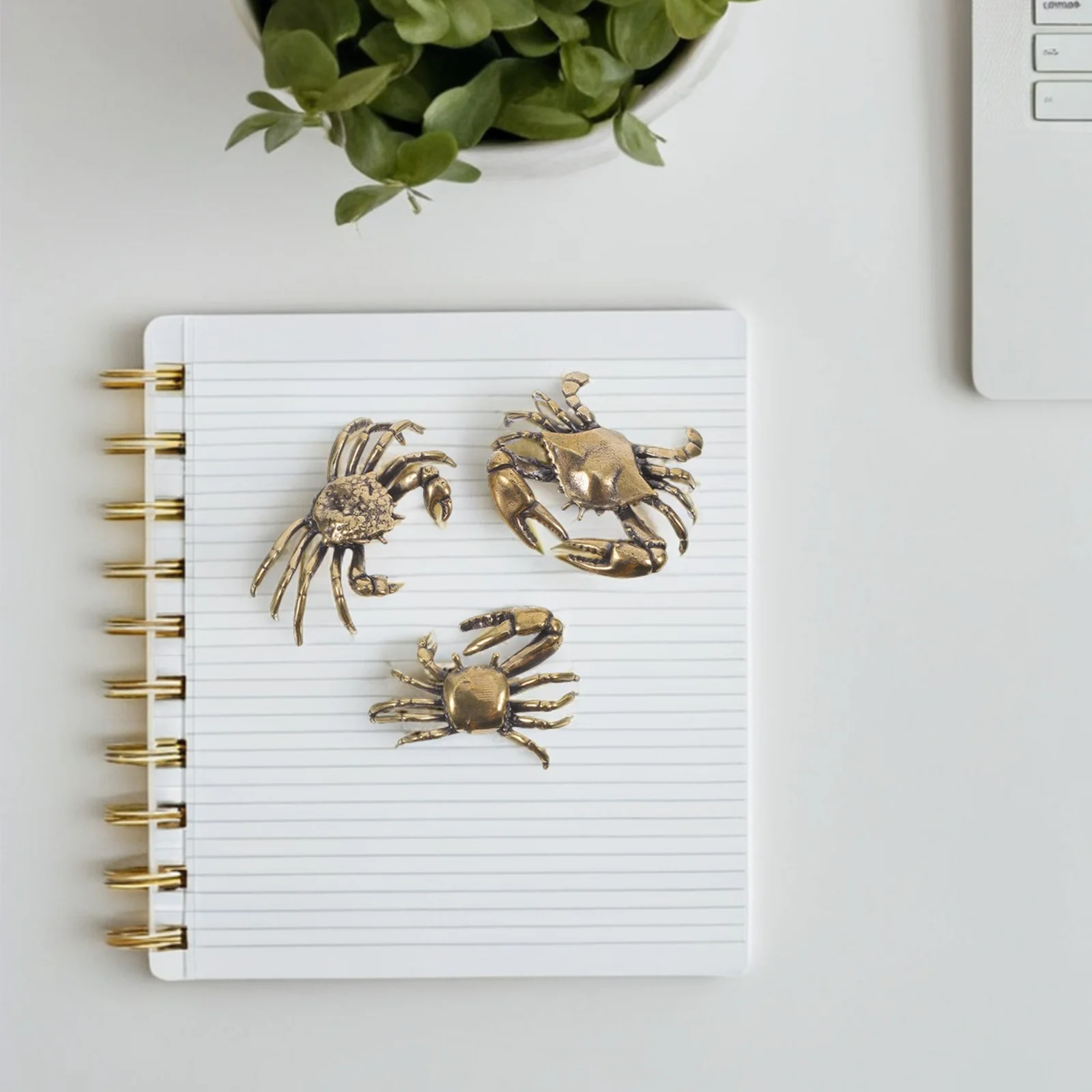 3pcs Retro Creative Desktop Ornament For Home Desktop Crabs Figurines Office Decor Brass Crab Statues Tabletop Decoration Craft
3pcs Retro Creative Desktop Ornament For Home Desktop Crabs Figurines Office Decor Brass Crab Statues Tabletop Decoration Craft