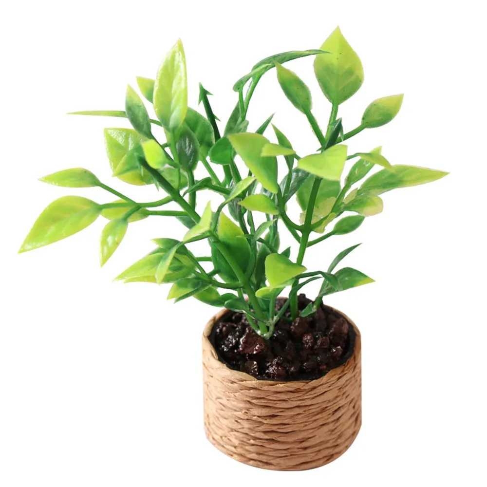 1/6 1/12 Dollhouse Plant Bonsai Green Orange Tree Miniature Greenery Potted Playing House Fairy Garden Doll Accessories Toy Gift
1/6 1/12 Dollhouse Plant Bonsai Green Orange Tree Miniature Greenery Potted Playing House Fairy Garden Doll Accessories Toy Gift