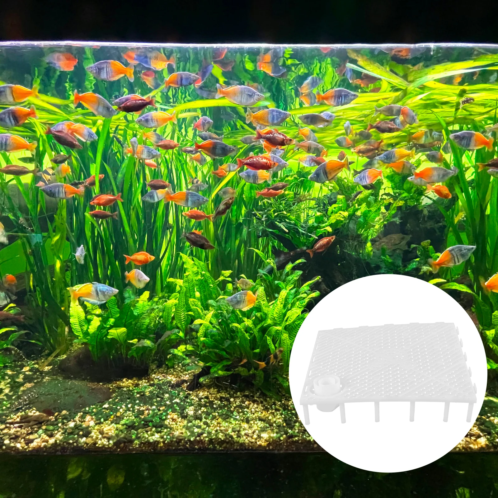 2Pcs Fish Tank Bottom Filter Plate PVC Material Easy Installation Splicing Aquarium Isolation Grid Safe For Fish Water
2Pcs Fish Tank Bottom Filter Plate PVC Material Easy Installation Splicing Aquarium Isolation Grid Safe For Fish Water