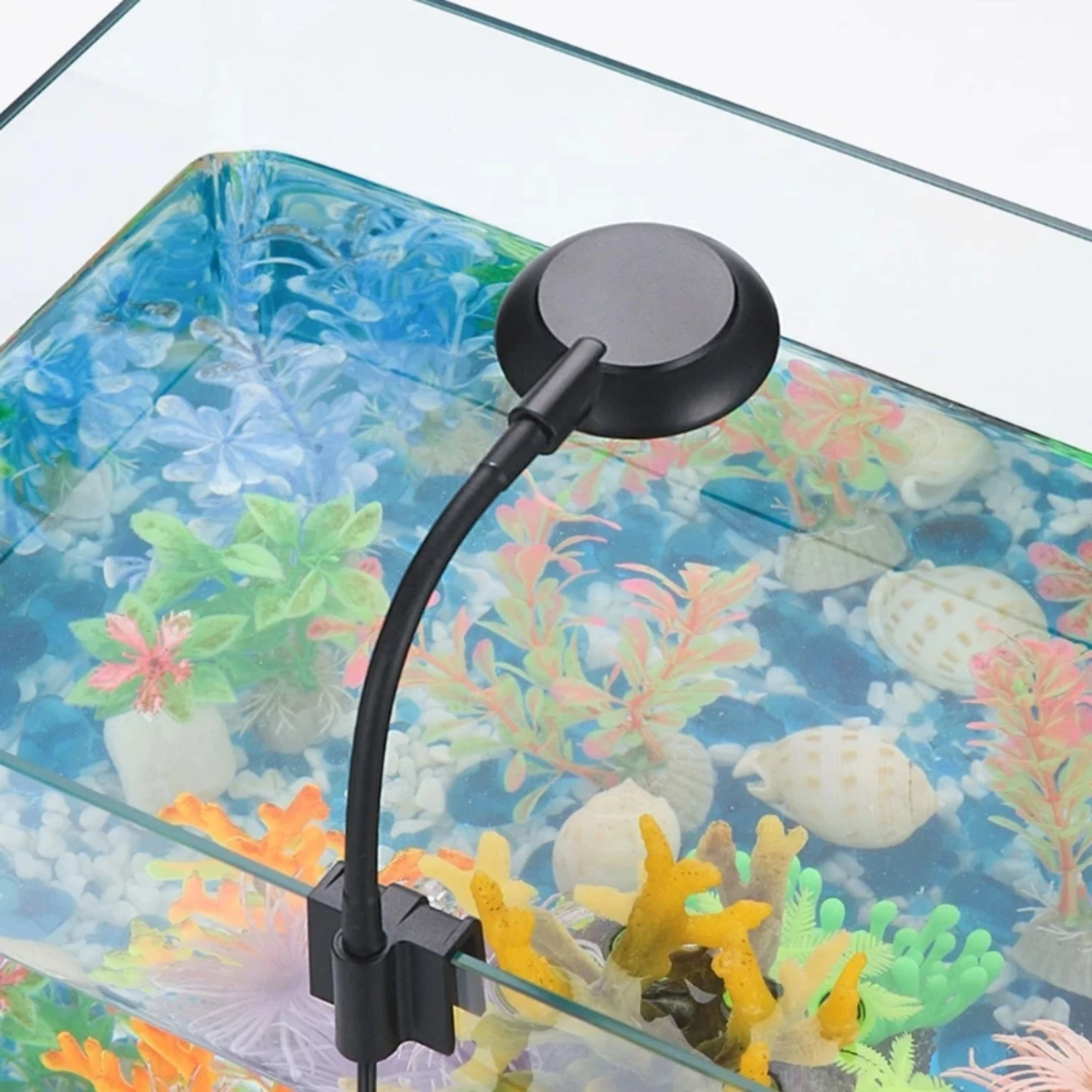 Fish Tanks Clip-on Light Clamp Aquarium Lights LED Beads White and Blue Lights -Degree Rotations 5W USB Plugs
Fish Tanks Clip-on Light Clamp Aquarium Lights LED Beads White and Blue Lights -Degree Rotations 5W USB Plugs