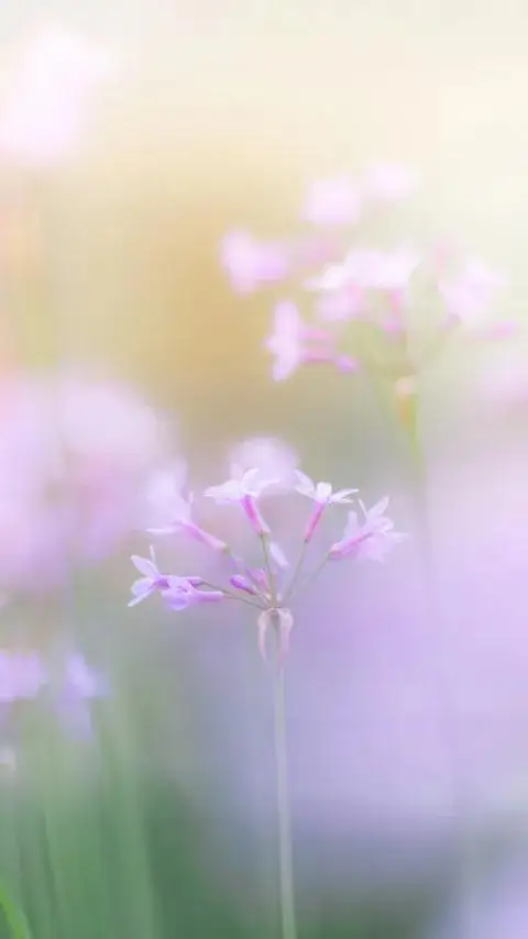 12.3 inch Dual Screen Android 14 256GB Car Stereo For Ford Explorer 2011-2019 Radio GPS Navigation Head Unit Carplay Player 
12.3 inch Dual Screen Android 14 256GB Car Stereo For Ford Explorer 2011-2019 Radio GPS Navigation Head Unit Carplay Player