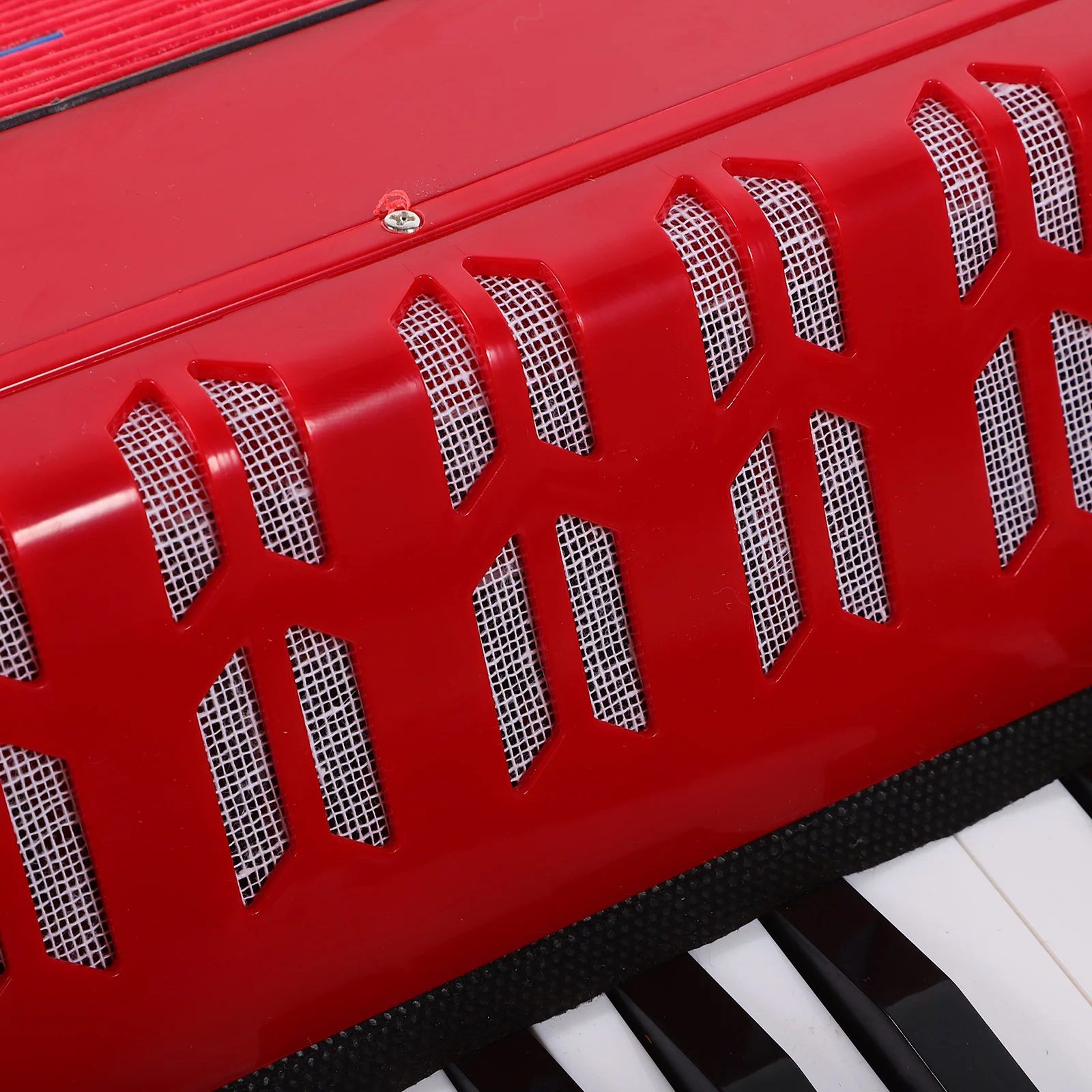 Accordion for Kids Child Toy Portable Introductory Musical Instrument Plastic Red Beginner Accordion Teaching Handheld Practice
Accordion for Kids Child Toy Portable Introductory Musical Instrument Plastic Red Beginner Accordion Teaching Handheld Practice