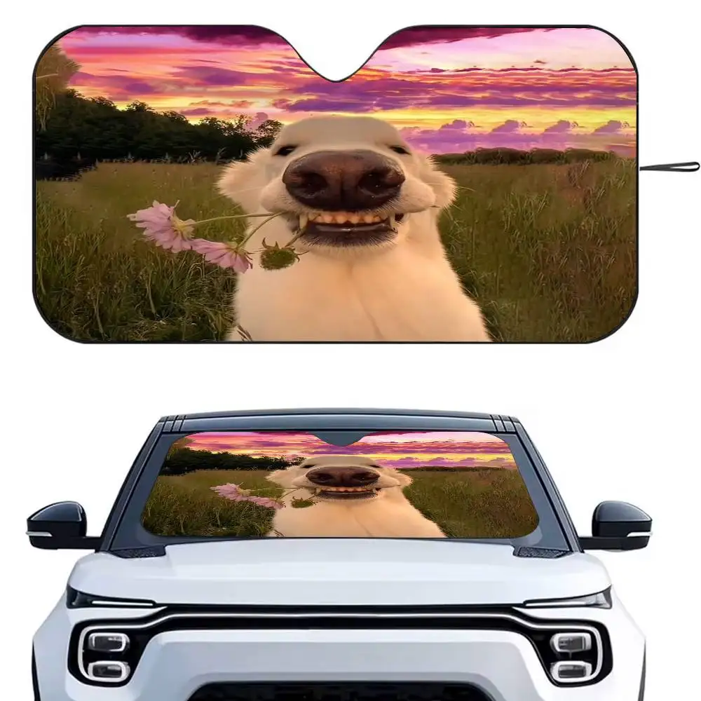 Забавный щенский автомобильный солнцезащитный козырек, зонтик, лобовое стекло автомобиля, солнцезащитный козырек, защита от ультрафиолета и внутренний охладитель
Забавный щенский автомобильный солнцезащитный козырек, зонтик, лобовое стекло автомобиля, солнцезащитный козырек, защита от ультрафиолета и внутренний охладитель
