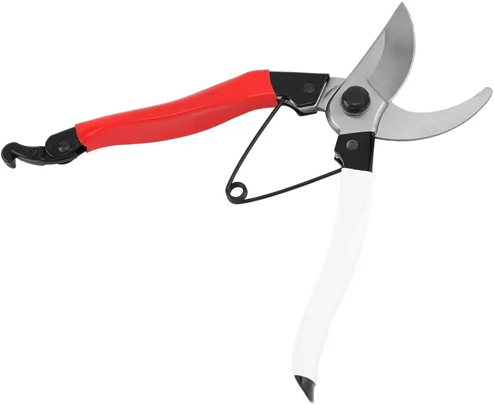 Sharp and Efficient Heavy Duty Stainless Steel Pruning Shears - Precision Plant Trimming Tool for Durable Garden Care - Comforta
Sharp and Efficient Heavy Duty Stainless Steel Pruning Shears - Precision Plant Trimming Tool for Durable Garden Care - Comforta