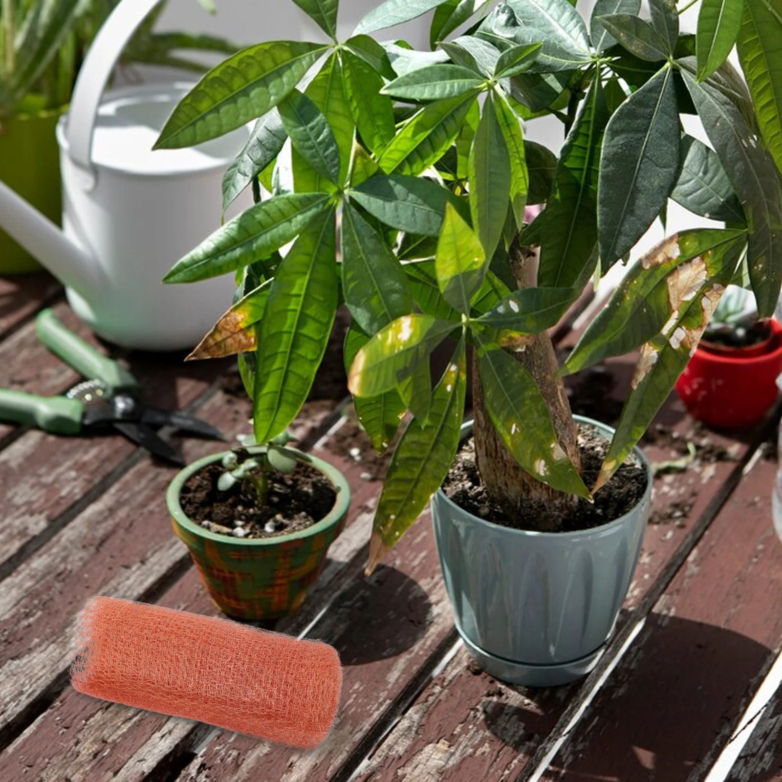 1 Roll Copper Mesh Screen For Garden Pond Netting Repair Diy Copper Hole Fill Roll Protective Metal Mesh Vegetable Flower
1 Roll Copper Mesh Screen For Garden Pond Netting Repair Diy Copper Hole Fill Roll Protective Metal Mesh Vegetable Flower