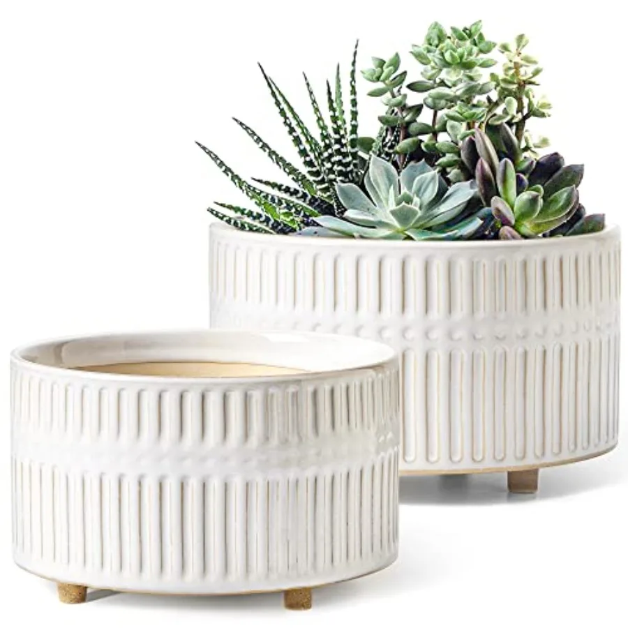Succulent Planters, 6.5+8 Inch Ceramic Indoor Plant Pot with Drainage Hole, Shallow Round Succulent Pots, Set of 2
Succulent Planters, 6.5+8 Inch Ceramic Indoor Plant Pot with Drainage Hole, Shallow Round Succulent Pots, Set of 2