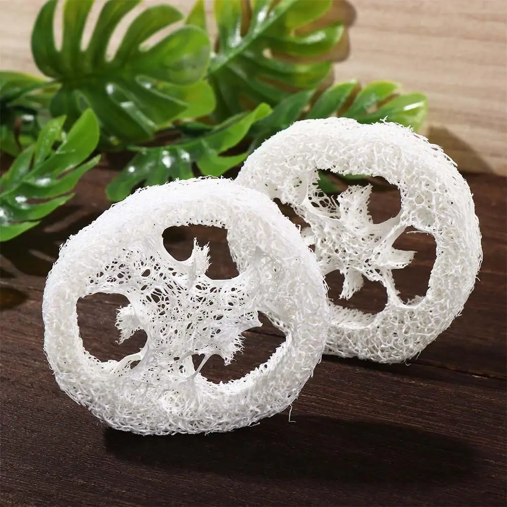 Compostable Eco Friendly Loofah Slices Reusable Natural Non Scratch Soap Saver Scouring Pad Scrubber Scrub Sponge
Compostable Eco Friendly Loofah Slices Reusable Natural Non Scratch Soap Saver Scouring Pad Scrubber Scrub Sponge