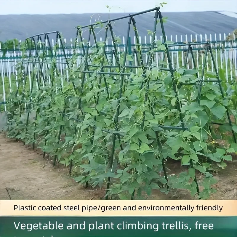 All Season All Weather Metal Plant Stakes, Green Plastic Coated Steel Pipe, Durable Vine Support for Year Round Outdoor H0983
All Season All Weather Metal Plant Stakes, Green Plastic Coated Steel Pipe, Durable Vine Support for Year Round Outdoor H0983