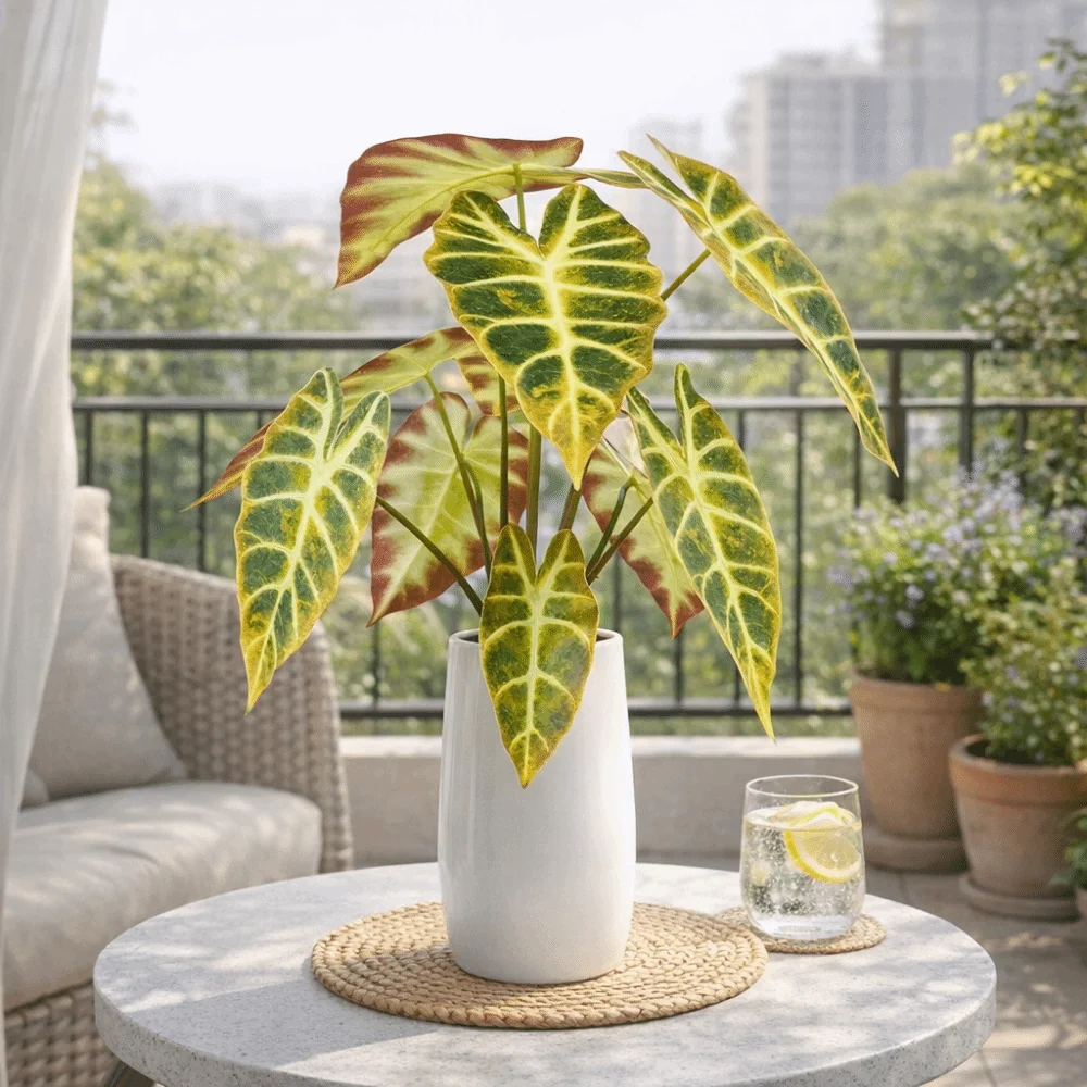 10-Head Artificial Peacock Leaf Plant Lifelike Plastic Simulation Greenery Handmade Realistic Fake Tree Leaves Home Decor
10-Head Artificial Peacock Leaf Plant Lifelike Plastic Simulation Greenery Handmade Realistic Fake Tree Leaves Home Decor