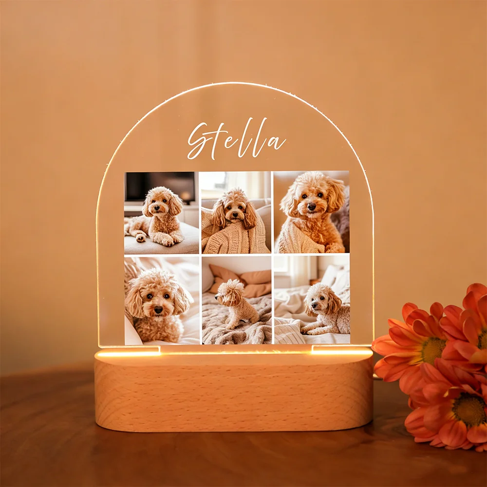 Personalized Pet Acrylic LED Night Light Custom Dog Cat Photo Pet Portrait Heartwarming Gift for Pet Lovers Sleep Well Now
Personalized Pet Acrylic LED Night Light Custom Dog Cat Photo Pet Portrait Heartwarming Gift for Pet Lovers Sleep Well Now