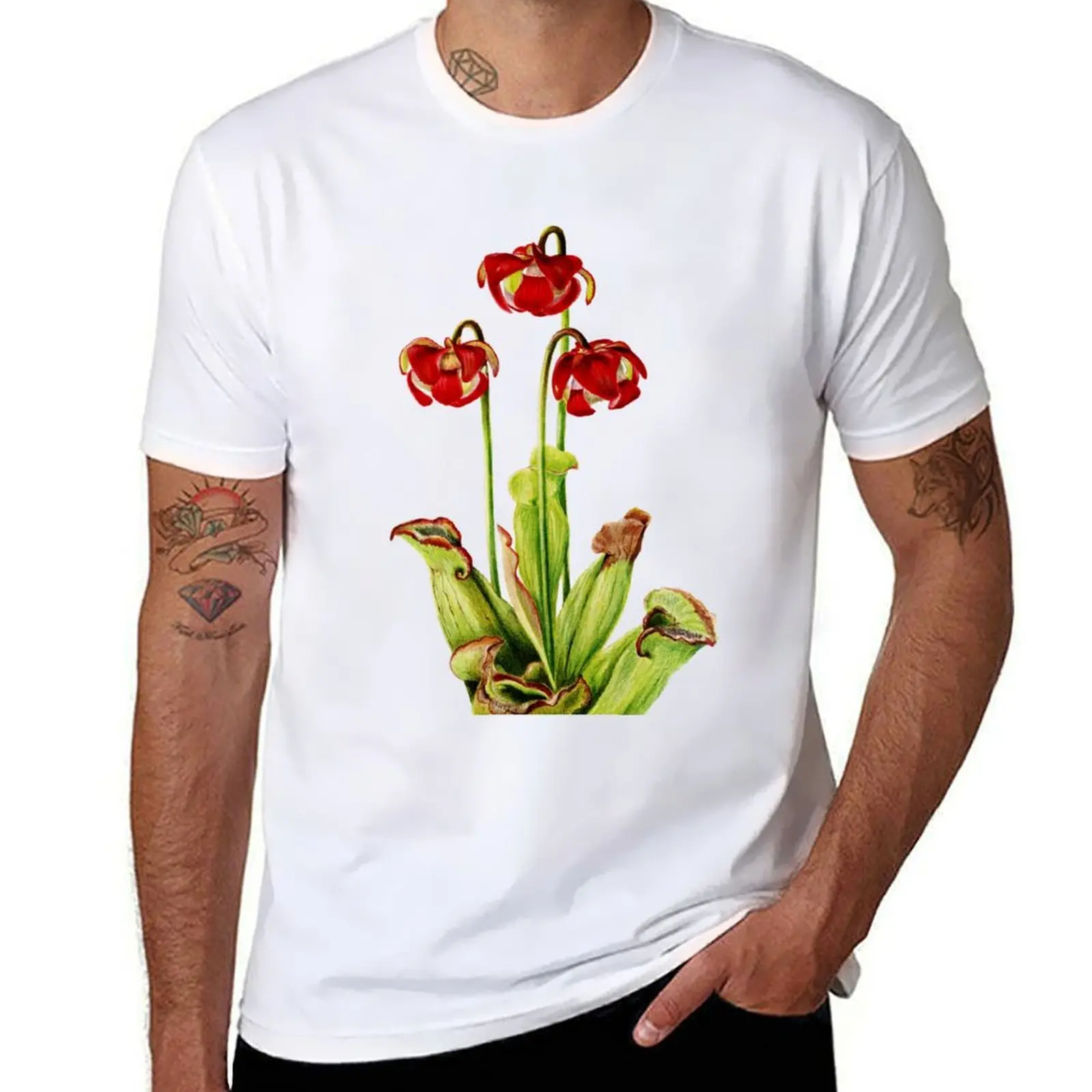 Purple Pitcherplant - Sarracenia Purpurea- Walcott - Botanical Illustration T-Shirt t shirts for man cotton soft T-Shirt
Purple Pitcherplant - Sarracenia Purpurea- Walcott - Botanical Illustration T-Shirt t shirts for man cotton soft T-Shirt