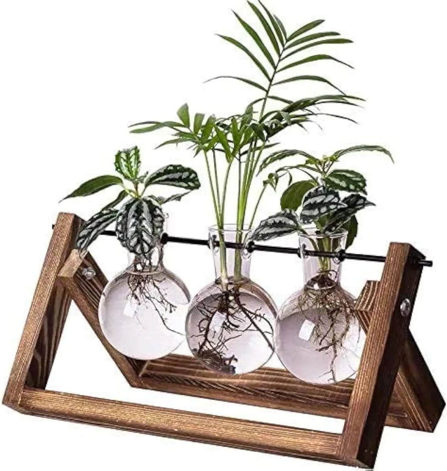 3 Glass Bulb Propagation Station with Wood Stand, Boho Desktop Hydroponics Vase for Home Office Decor, Unique Plant Lover Gift
3 Glass Bulb Propagation Station with Wood Stand, Boho Desktop Hydroponics Vase for Home Office Decor, Unique Plant Lover Gift