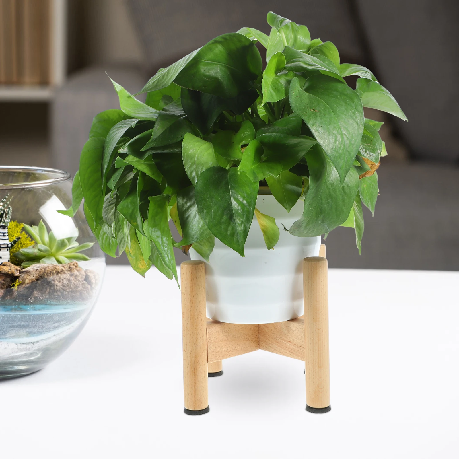 Beech Wood Flower Stand Plant Pot Holder for Indoor Outdoor Home Garden Wooden Planter Base Potted Plants Crafts Display
Beech Wood Flower Stand Plant Pot Holder for Indoor Outdoor Home Garden Wooden Planter Base Potted Plants Crafts Display