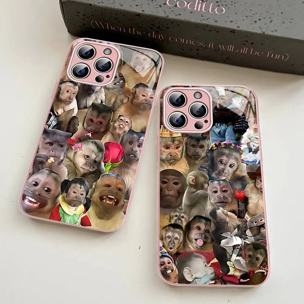 New Creative Monkey Pattern Tempered Glass For Iphone 14 13 12 11 Pro Mini XS MAX 14Plus X XS XR Cover
New Creative Monkey Pattern Tempered Glass For Iphone 14 13 12 11 Pro Mini XS MAX 14Plus X XS XR Cover