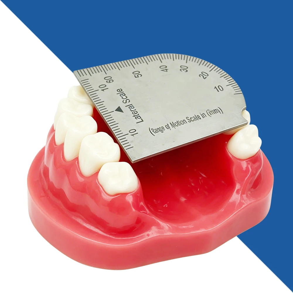 Dental Precision Measuring Ruler with Bite Gauge and Mouth Opening Caliper for Dentists
Dental Precision Measuring Ruler with Bite Gauge and Mouth Opening Caliper for Dentists