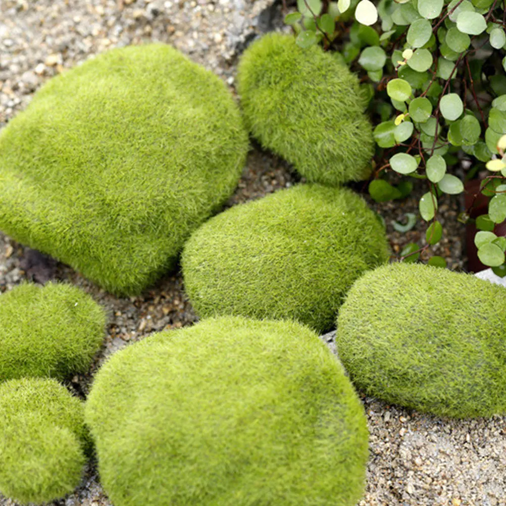 6pcs Fake Decor Flocking Moss Stone Micro Landscape Ornament For Home Garden Artificial Stone Lawn Decoration
6pcs Fake Decor Flocking Moss Stone Micro Landscape Ornament For Home Garden Artificial Stone Lawn Decoration