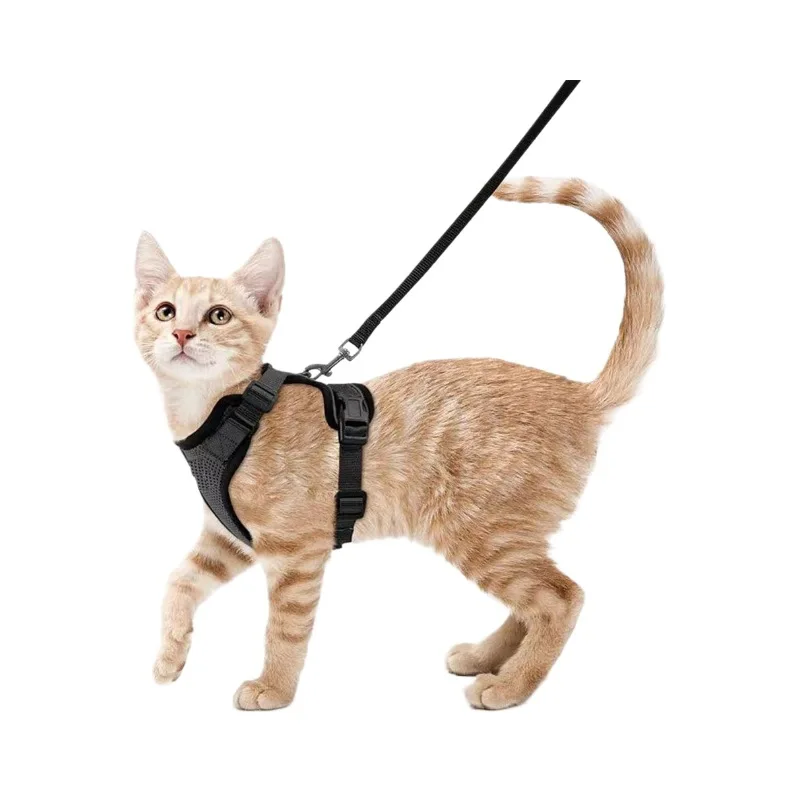 Cat Harness and Leash for Walking, Escape Proof Soft Adjustable Vest Harnesses for Cats, Easy Control Breathable Reflect
Cat Harness and Leash for Walking, Escape Proof Soft Adjustable Vest Harnesses for Cats, Easy Control Breathable Reflect