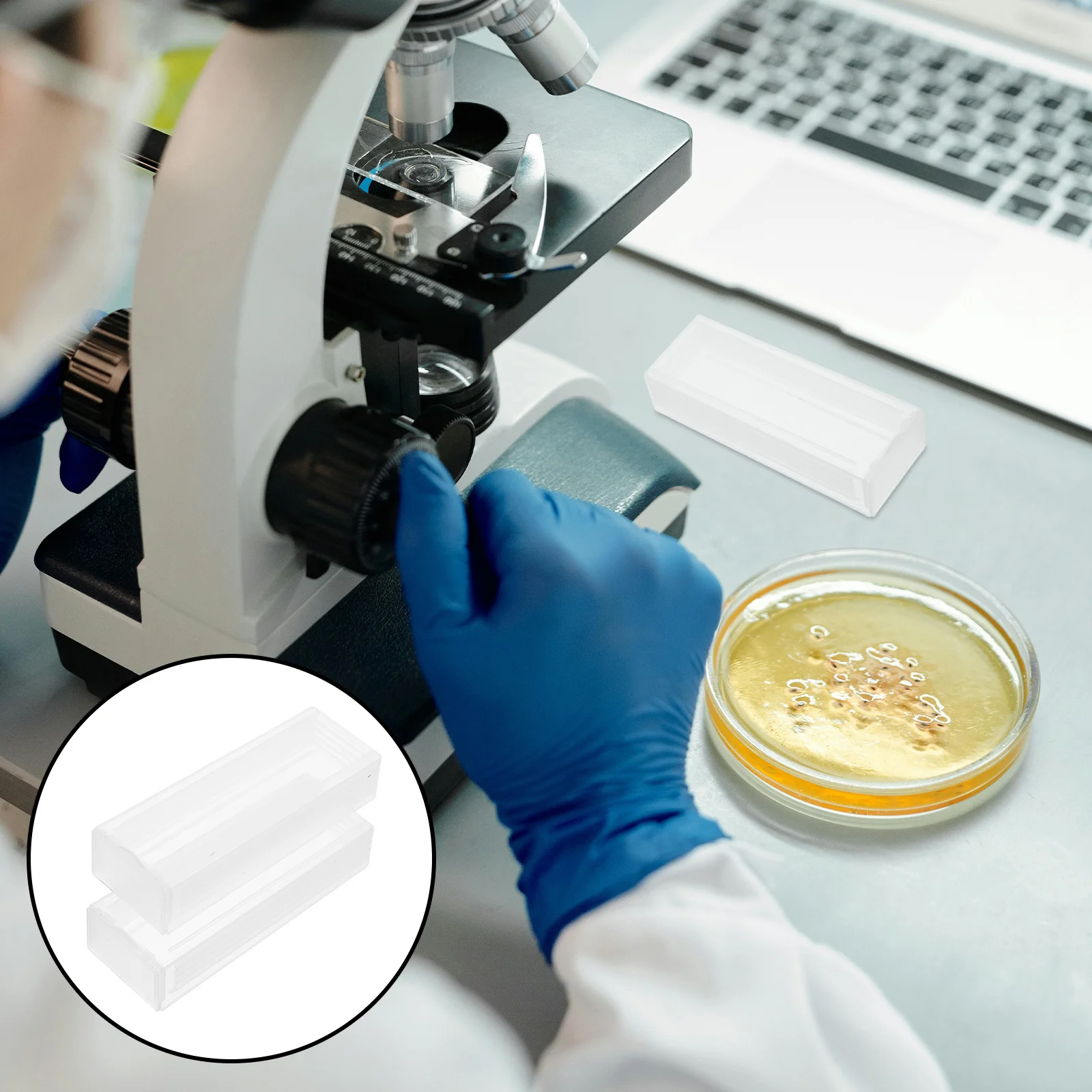 2pcs Plastic Microscope Slide Case Portable Pp Transparent Rectangle Organizer For Laboratory Research Glass Slide Storage
2pcs Plastic Microscope Slide Case Portable Pp Transparent Rectangle Organizer For Laboratory Research Glass Slide Storage