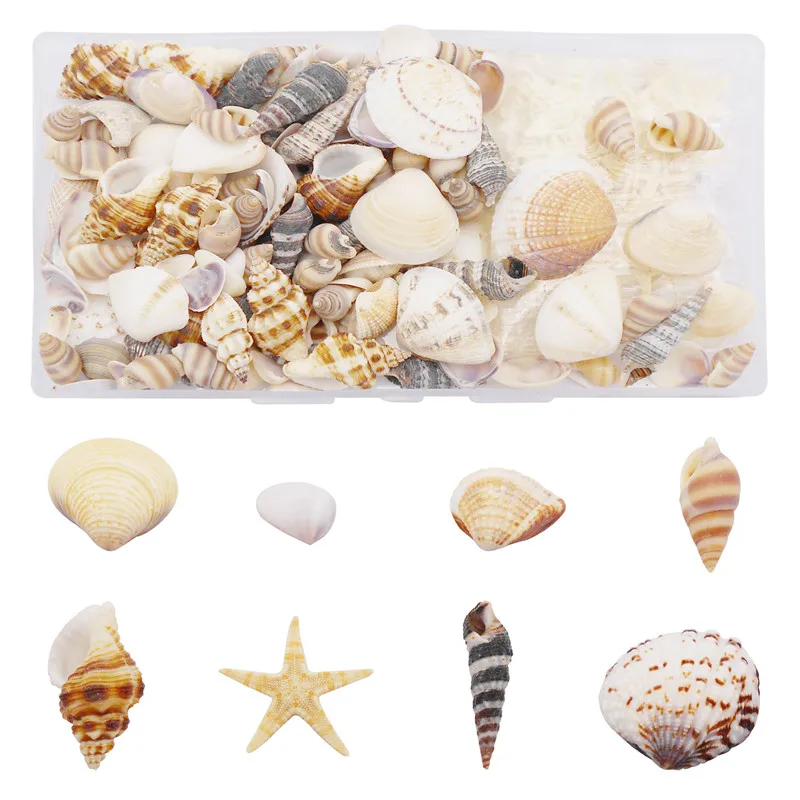200PCS/Box Natural Shell Conch Starfish Charms For Micro Landscape Ornament Decor DIY Jewelry Accessory
200PCS/Box Natural Shell Conch Starfish Charms For Micro Landscape Ornament Decor DIY Jewelry Accessory