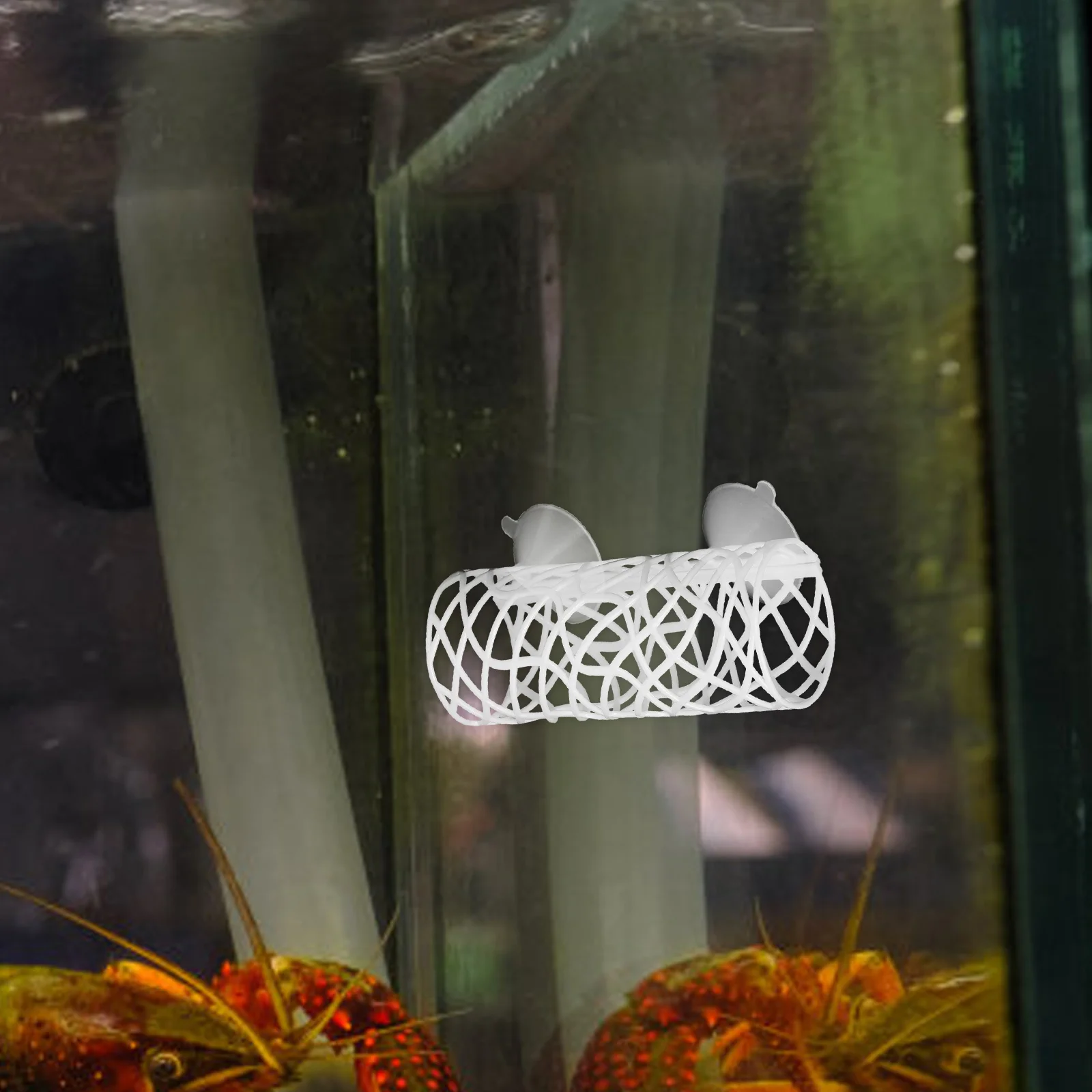 Multifunctional Aquarium Tunnel Betta Fish Tank Decoration Shrimp Tunnel And Bed Easy Installation Aesthetic Appeal Ornament
Multifunctional Aquarium Tunnel Betta Fish Tank Decoration Shrimp Tunnel And Bed Easy Installation Aesthetic Appeal Ornament