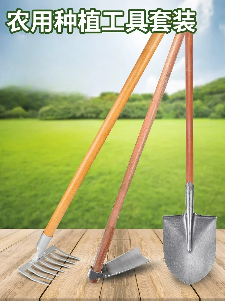 Household vegetable planting tools set, hoe, spade, rake, digging tools
Household vegetable planting tools set, hoe, spade, rake, digging tools