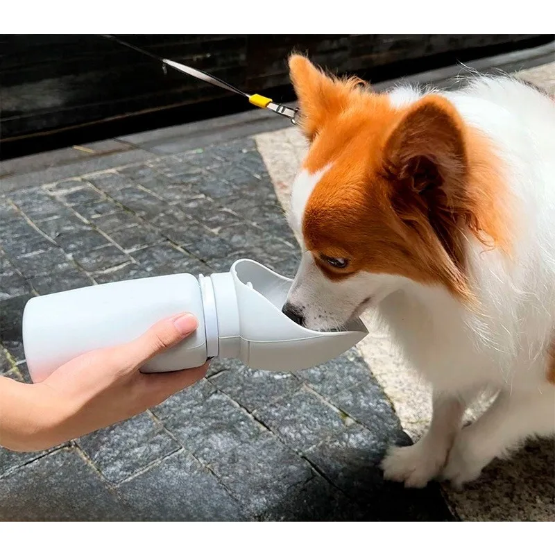 Dog Outings Water Cup Water Dispenser Portable Kettle Accompanying Cup Pet Supplies
Dog Outings Water Cup Water Dispenser Portable Kettle Accompanying Cup Pet Supplies