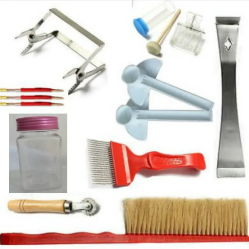 Beekeeping Tools/Appliance Beekeeping 11 Set Hive Tool Bee Sweeper Needle Knife And Spleen Clip Queen Bee Cage Imbedding Tool
Beekeeping Tools/Appliance Beekeeping 11 Set Hive Tool Bee Sweeper Needle Knife And Spleen Clip Queen Bee Cage Imbedding Tool