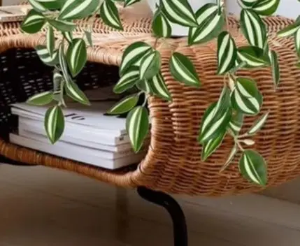 Plastic Hanging Artificial Plants with Pot for Home Office Decorative Faux Greenery Lightweight Indoor Outdoor
Plastic Hanging Artificial Plants with Pot for Home Office Decorative Faux Greenery Lightweight Indoor Outdoor