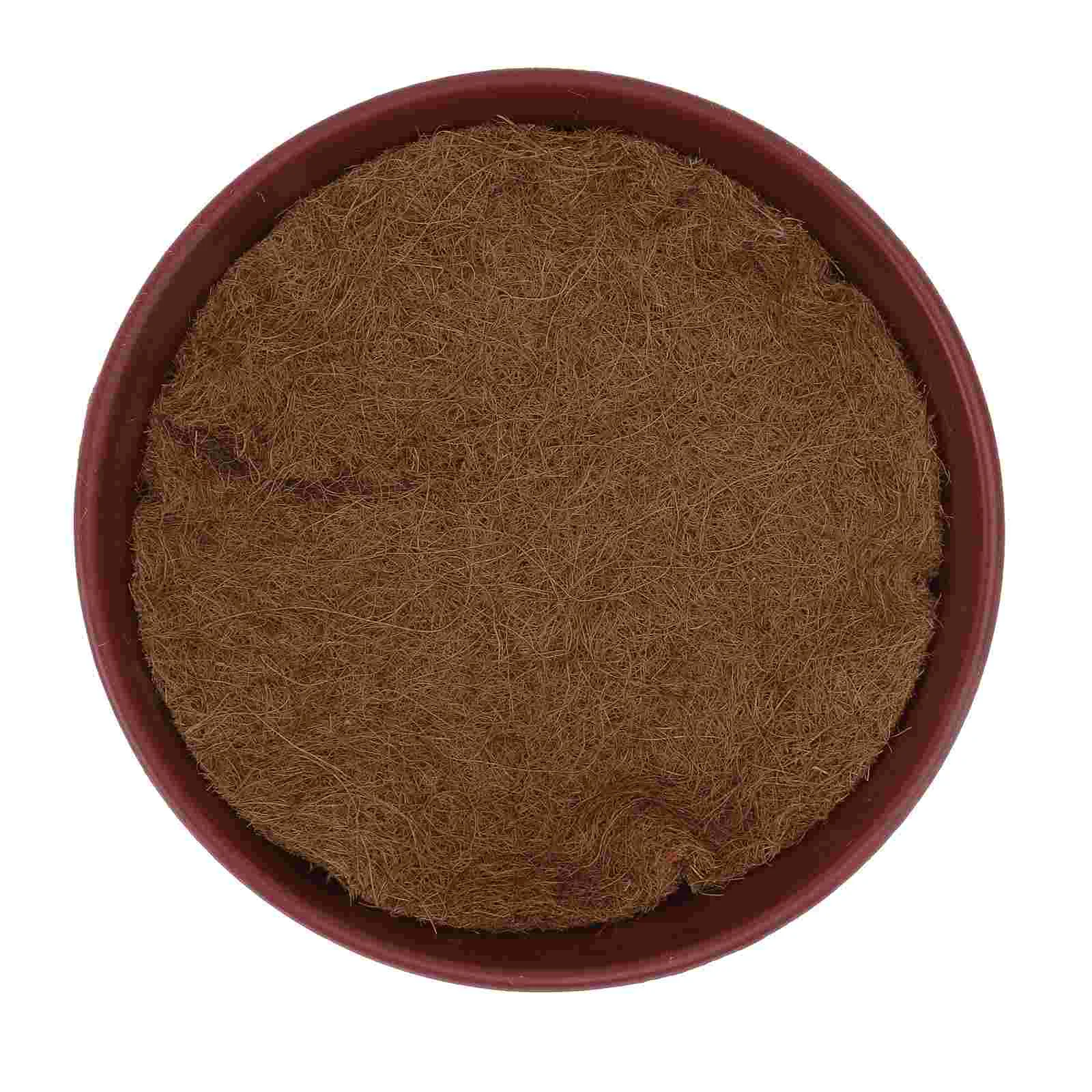 Aquariums Homing Pigeon Equipment Breeding Bird Pad House Coir Fish Artificial Greenery Garland
Aquariums Homing Pigeon Equipment Breeding Bird Pad House Coir Fish Artificial Greenery Garland