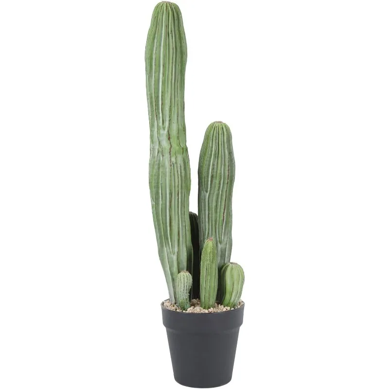 Artificial Cactus Fake Cacti 24 Inch Faux Potted Cactus Plants for Home Store Office Decoration
Artificial Cactus Fake Cacti 24 Inch Faux Potted Cactus Plants for Home Store Office Decoration