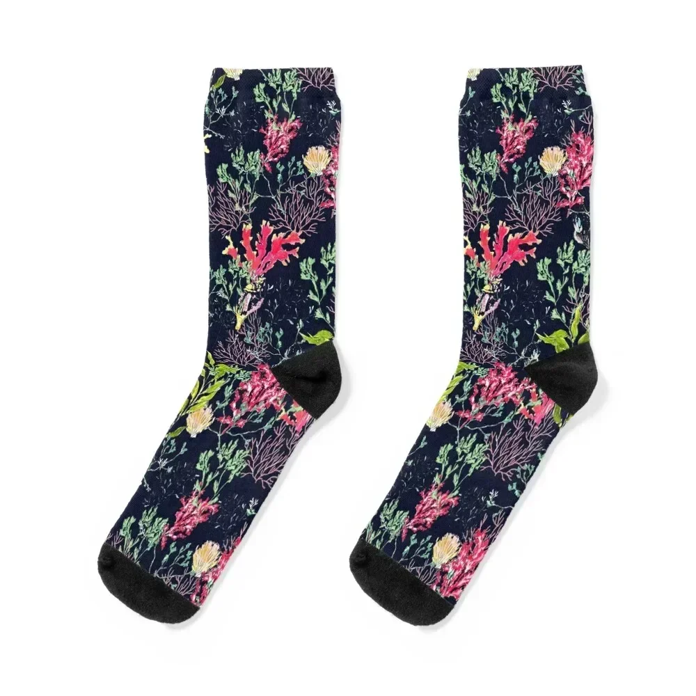 Seaweed part II Blue Socks custom sports ankle christmas stocking summer Men's Socks Luxury Women's
Seaweed part II Blue Socks custom sports ankle christmas stocking summer Men's Socks Luxury Women's