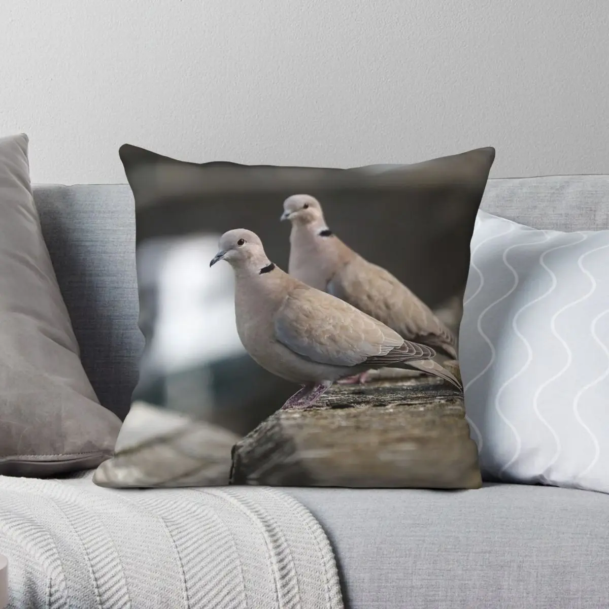 Eurasian Collared Dove Square Pillowcase Polyester Linen Velvet Creative Zip Decor Throw Pillow Case Home Cushion Cover
Eurasian Collared Dove Square Pillowcase Polyester Linen Velvet Creative Zip Decor Throw Pillow Case Home Cushion Cover