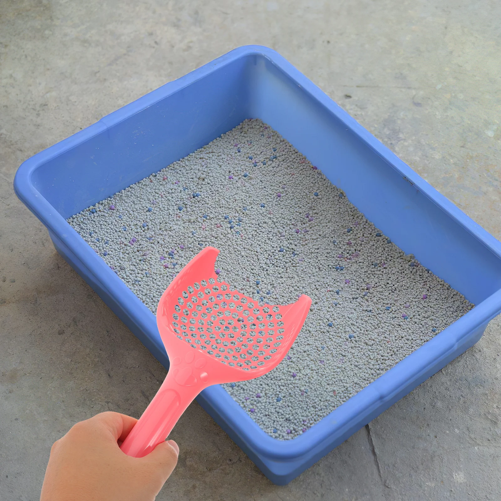 15pcs Pet Litter Scoop Fine Hole Cat Poop Picker Plastic Sifter For Clumping Crystal Litter Box Cleaning Tool Cat Scooper Set
15pcs Pet Litter Scoop Fine Hole Cat Poop Picker Plastic Sifter For Clumping Crystal Litter Box Cleaning Tool Cat Scooper Set