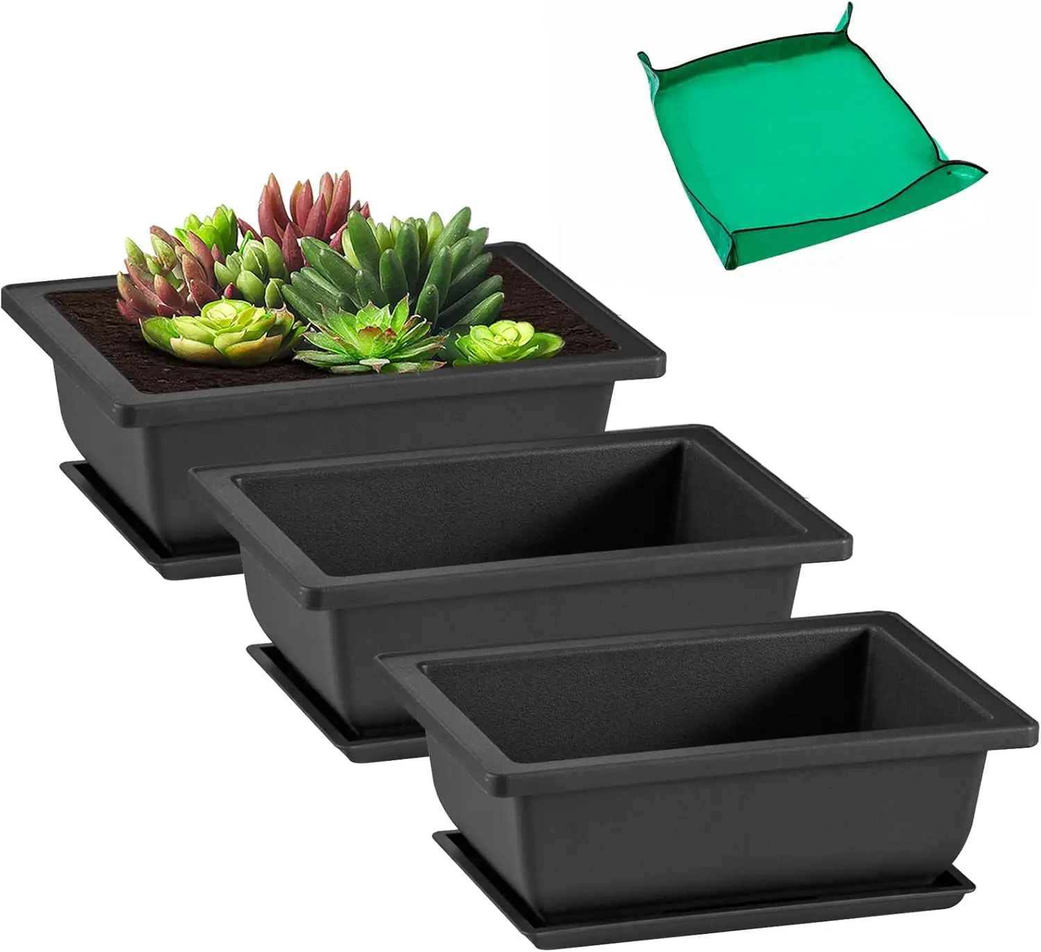 3 Pcs 6.5 Inch Bonsai Pots with Drainage Trays & Repotting Mat, Rectangle Planter Kit for Indoor Outdoor Plants
3 Pcs 6.5 Inch Bonsai Pots with Drainage Trays & Repotting Mat, Rectangle Planter Kit for Indoor Outdoor Plants