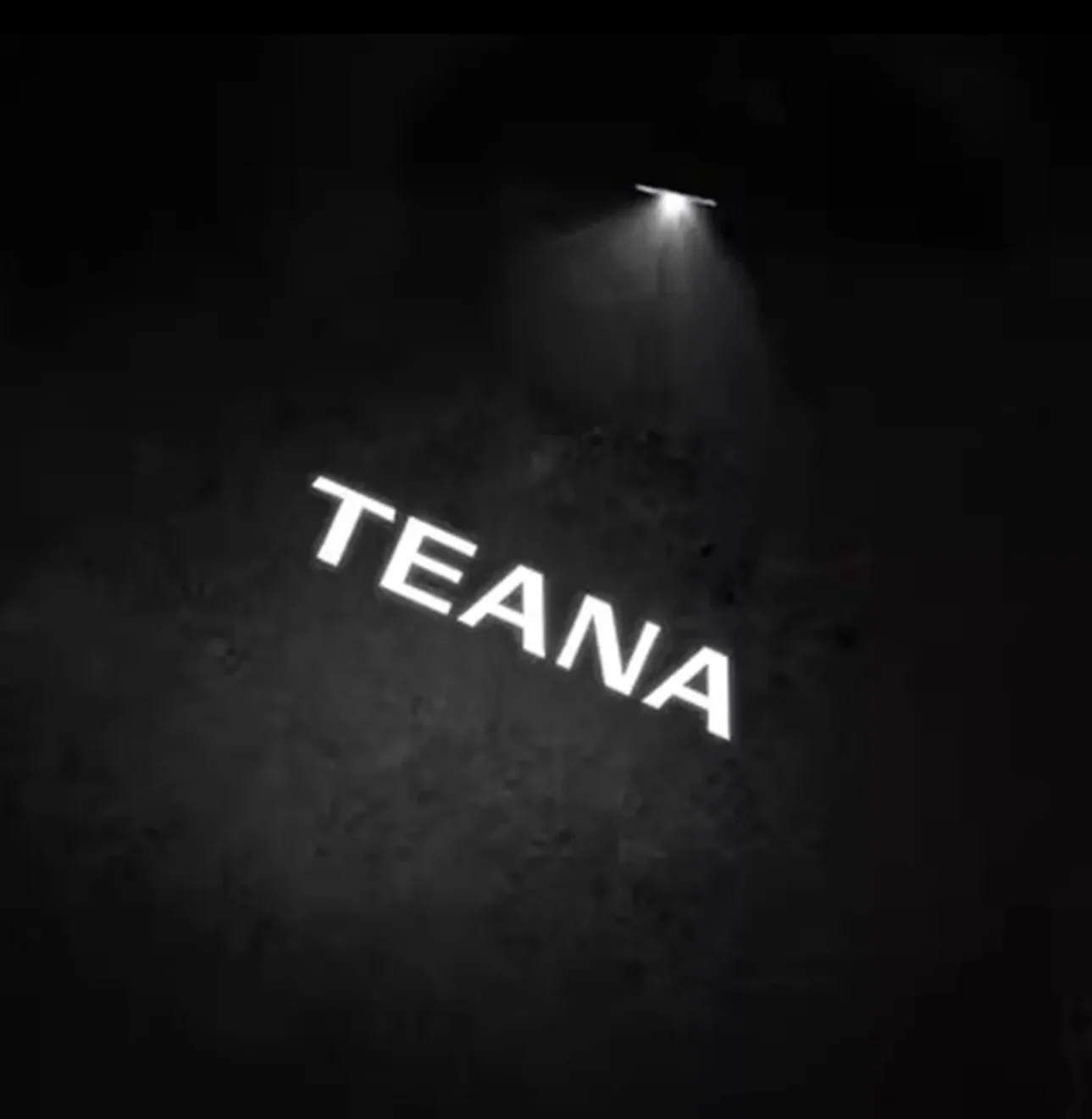 Car Styling Door Welcome Lights LED Laser Projector Logo Lamp For TEANA 2008-2013 Car Decoration goods
Car Styling Door Welcome Lights LED Laser Projector Logo Lamp For TEANA 2008-2013 Car Decoration goods