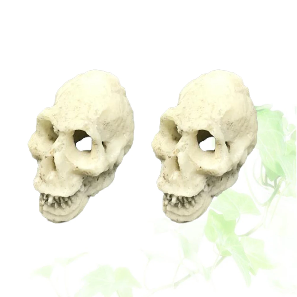 2pcs Simulated Skull Decoration Mini Home Aquarium Accessories Human Head Ornament Resin Made Safe Fish Tank Pet
2pcs Simulated Skull Decoration Mini Home Aquarium Accessories Human Head Ornament Resin Made Safe Fish Tank Pet