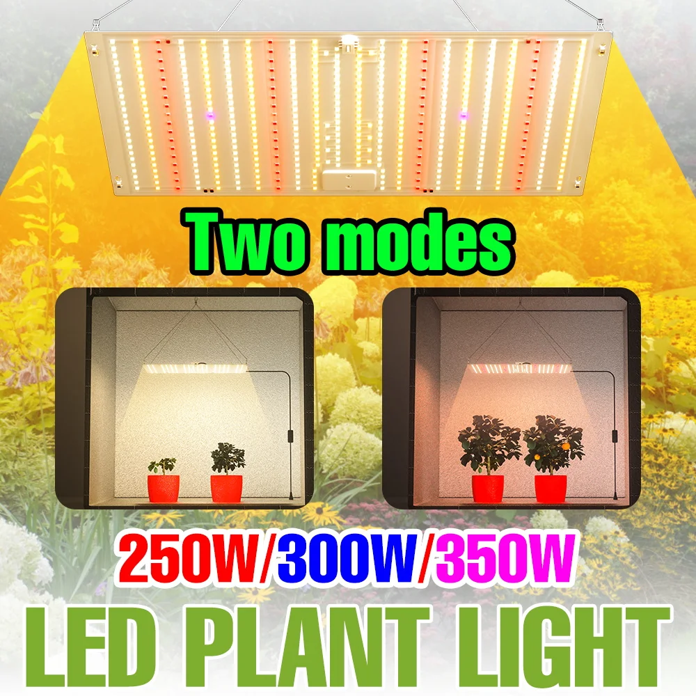 350W LED Quantum Board Plant Lamp Full Spectrum Grow Light Greenhouse Hydroponic Indoor Flowers Planting Cultivation Lighting
350W LED Quantum Board Plant Lamp Full Spectrum Grow Light Greenhouse Hydroponic Indoor Flowers Planting Cultivation Lighting