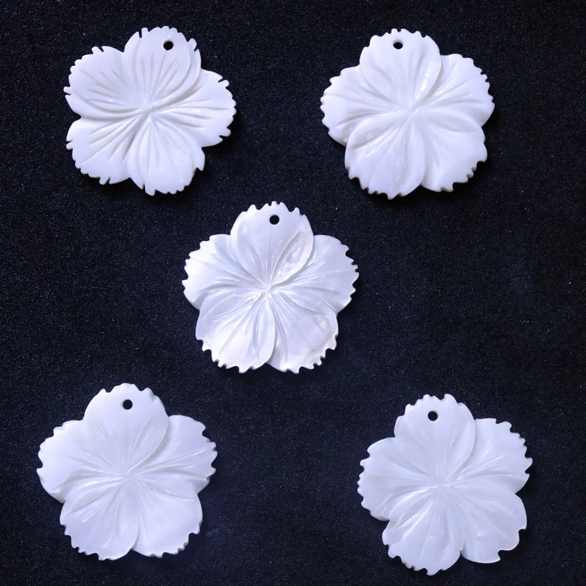 5 PCS 10 PCS 50 PCS 28mm Natural White Mother of Pearl Pendant Charms Shell Flower
5 PCS 10 PCS 50 PCS 28mm Natural White Mother of Pearl Pendant Charms Shell Flower