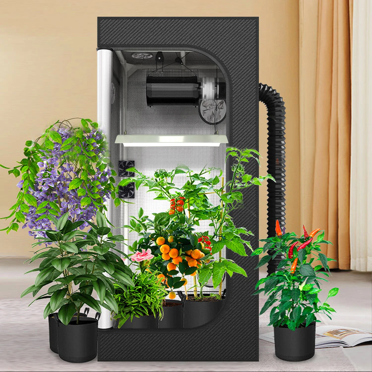 Professional Customized Full Spectrum Digital LED Grow Light Hydroponic Indoor Growing System Kit Home Use 1.6m High USB Floor
Professional Customized Full Spectrum Digital LED Grow Light Hydroponic Indoor Growing System Kit Home Use 1.6m High USB Floor