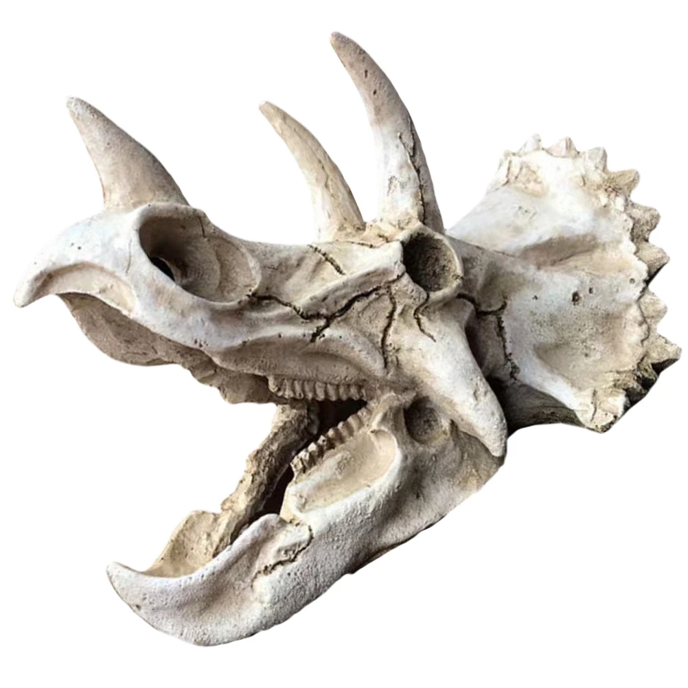 Realistic Resin Dinosaur Skull Aquarium Decoration Fish Shrimp Hiding Place Fish Tank Ornament Aquarium Decor Dinosaur Skull
Realistic Resin Dinosaur Skull Aquarium Decoration Fish Shrimp Hiding Place Fish Tank Ornament Aquarium Decor Dinosaur Skull