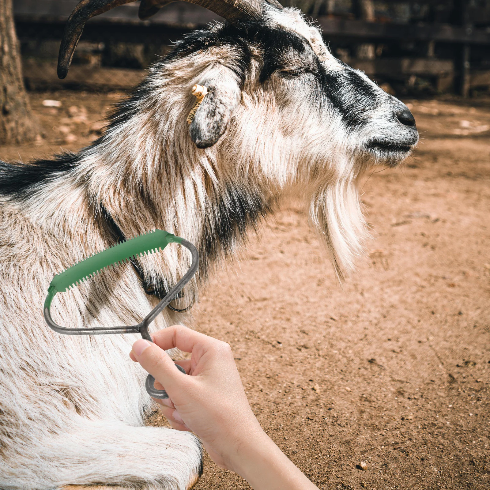 3 Pcs Metal Cattle Pet Grooming Brush Serrated Horse Hair Removing Comb Livestock Cleaning Practical Long H Non Slip
3 Pcs Metal Cattle Pet Grooming Brush Serrated Horse Hair Removing Comb Livestock Cleaning Practical Long H Non Slip