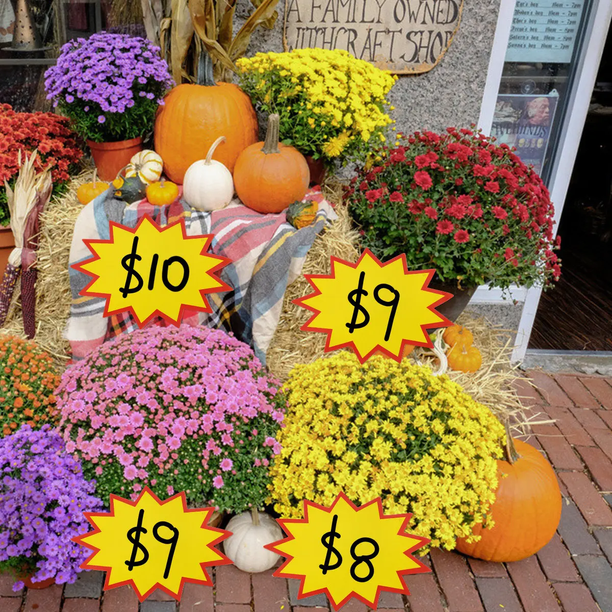 100Pcs Price Tags High Quality Paper Star Burst Sale Signs Retail Labels for Shops Supermarkets Garage Sales Signs
100Pcs Price Tags High Quality Paper Star Burst Sale Signs Retail Labels for Shops Supermarkets Garage Sales Signs