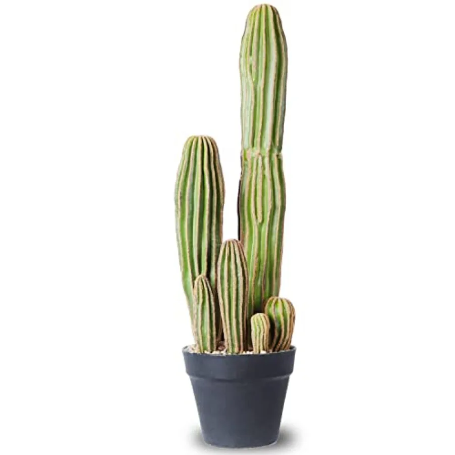Artificial Cactus Fake Big Cactus Faux Cacti Plants for Home Garden Office Store Decoration
Artificial Cactus Fake Big Cactus Faux Cacti Plants for Home Garden Office Store Decoration