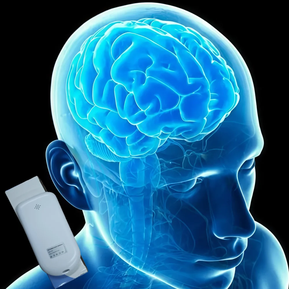 High-quality ear vagus nerve stimulator physical training equipment
High-quality ear vagus nerve stimulator physical training equipment