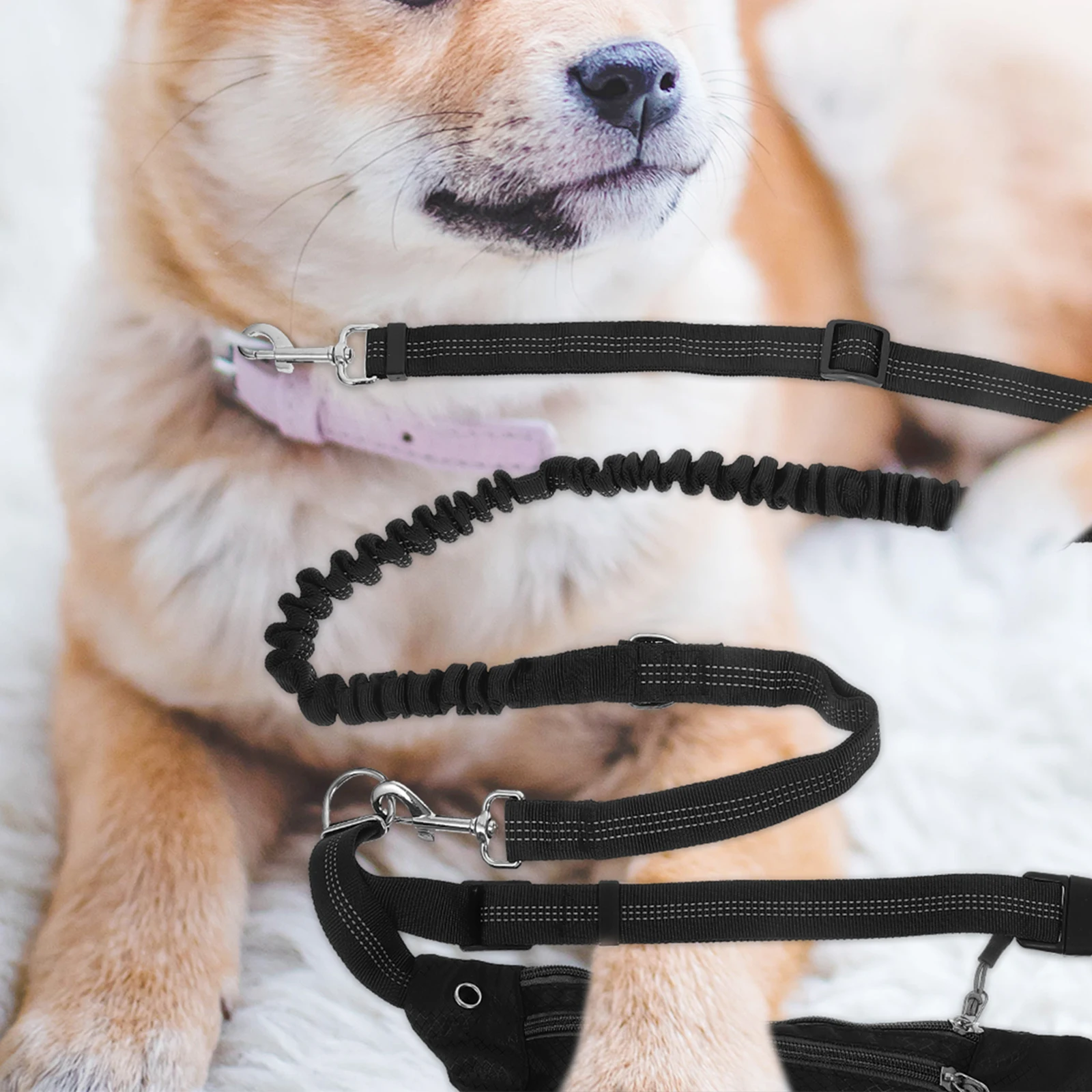 Lightweight Dog Leash Waist Pack H for Running Fanny Pouch Poop Bag Holder Elastic Pet Leash Storage Nylon Dog Rope
Lightweight Dog Leash Waist Pack H for Running Fanny Pouch Poop Bag Holder Elastic Pet Leash Storage Nylon Dog Rope